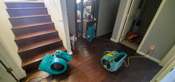 Best Water damage cleanup near me  in Hrison, AR