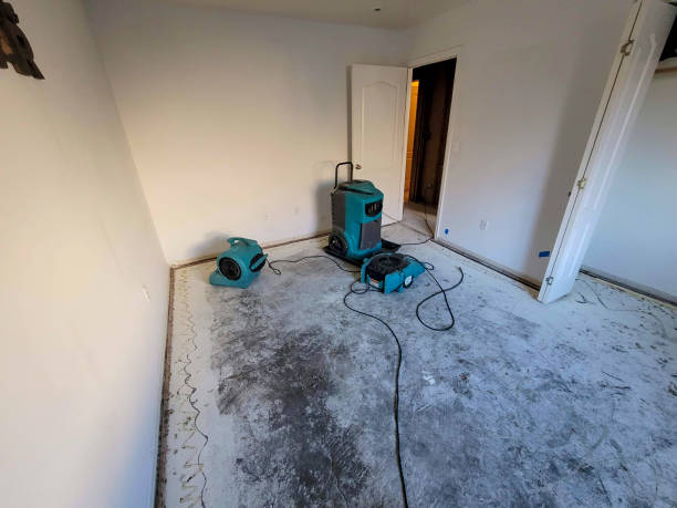 Best 24/7 water damage repair  in Hrison, AR