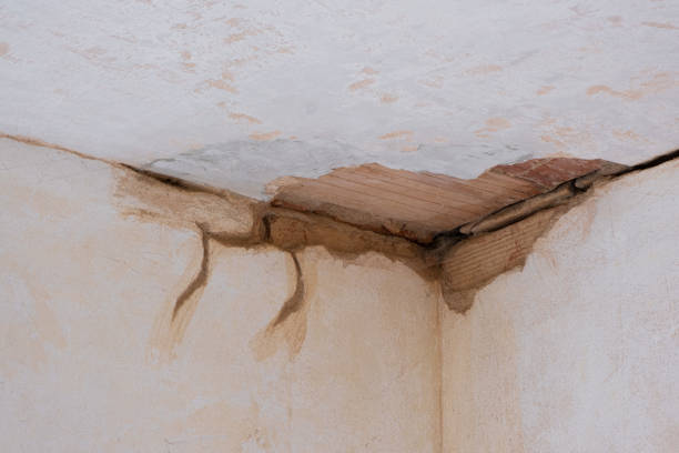 Best Water damage restoration mold remediation  in Hrison, AR