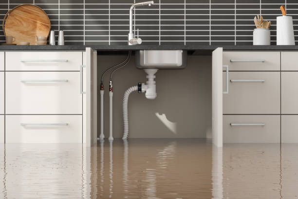 Best Flood restoration services  in Hrison, AR